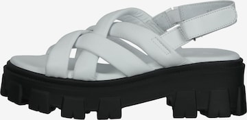 ILC Sandalen met riem in Wit