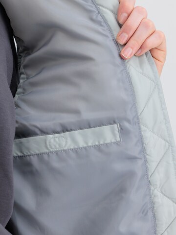 Gilet di ALPHA INDUSTRIES in grigio