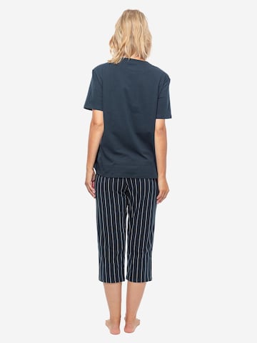 SCHIESSER Pajama 'Organic Cotton' in Blue