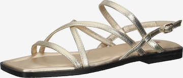 Högl Strap Sandals 'Sandy' in Gold: front