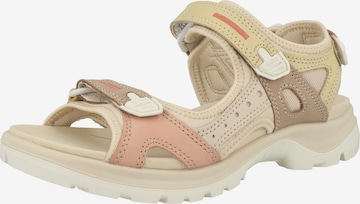 Sandalo da trekking 'Offroad' di ECCO in beige: frontale
