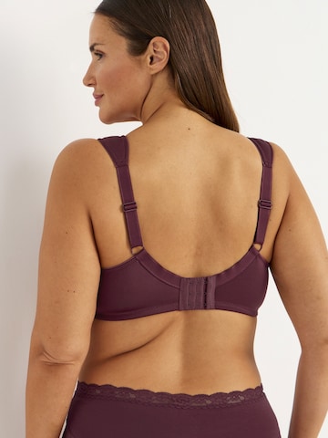 Cellbes of Sweden Minimizer BH in Rot