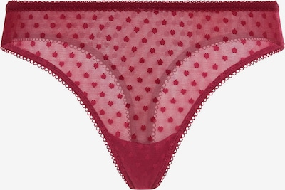 LSCN by LASCANA Stringit värissä burgundin punainen, Tuotenäkymä