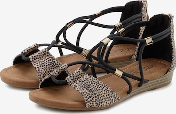 LASCANA Sandalen met riem in Zwart