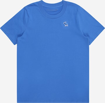 Abercrombie & Fitch Shirts i blå: forside