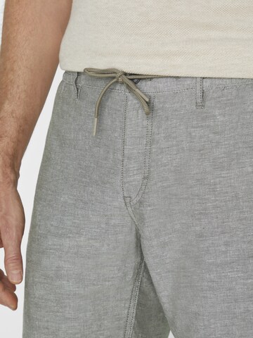 PADDOCKS Regular Pants in Grey