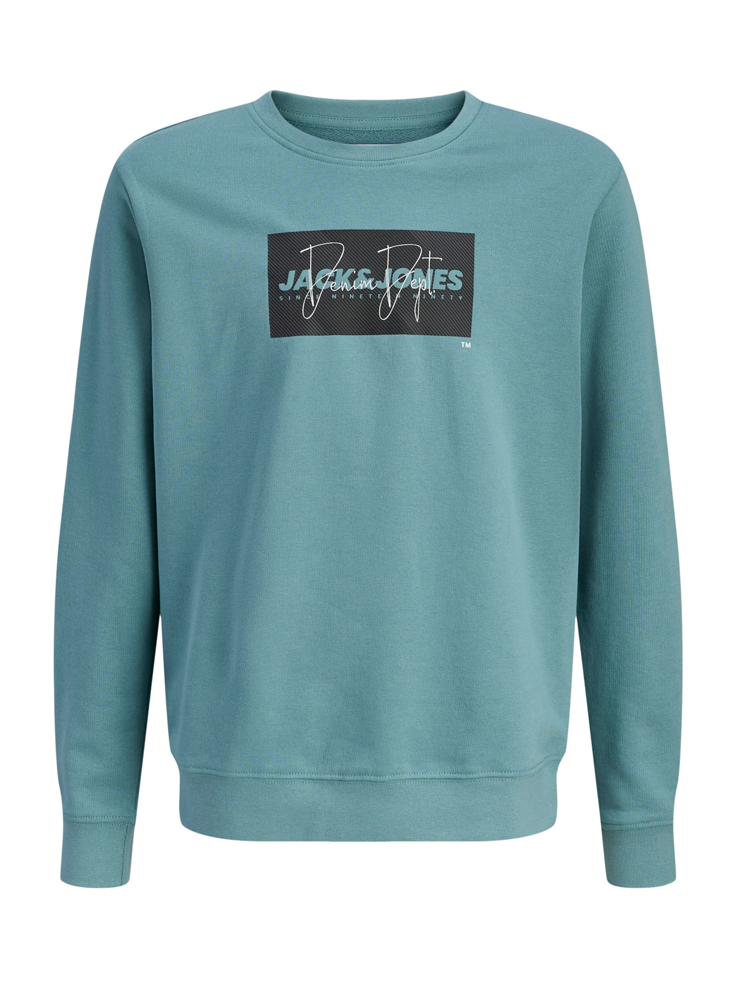 Jack & Jones Junior Sweatshirt 'JJCole' in Groen: voorkant