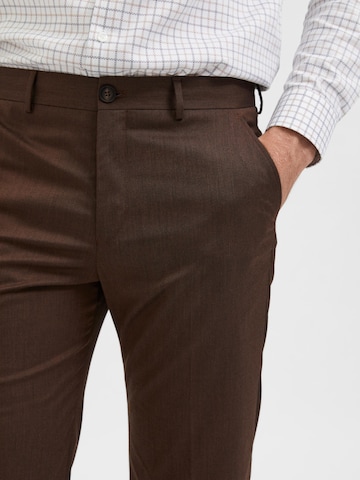 SELECTED HOMME Regularen Chino hlače 'Logan' | rjava barva