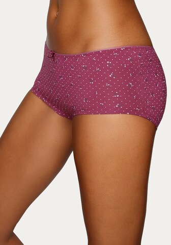 PETITE FLEUR Slip in Mischfarben