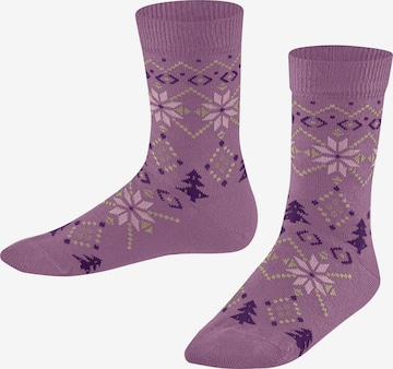 FALKE Socks 'Nordic Fair Isle' in Pink: front