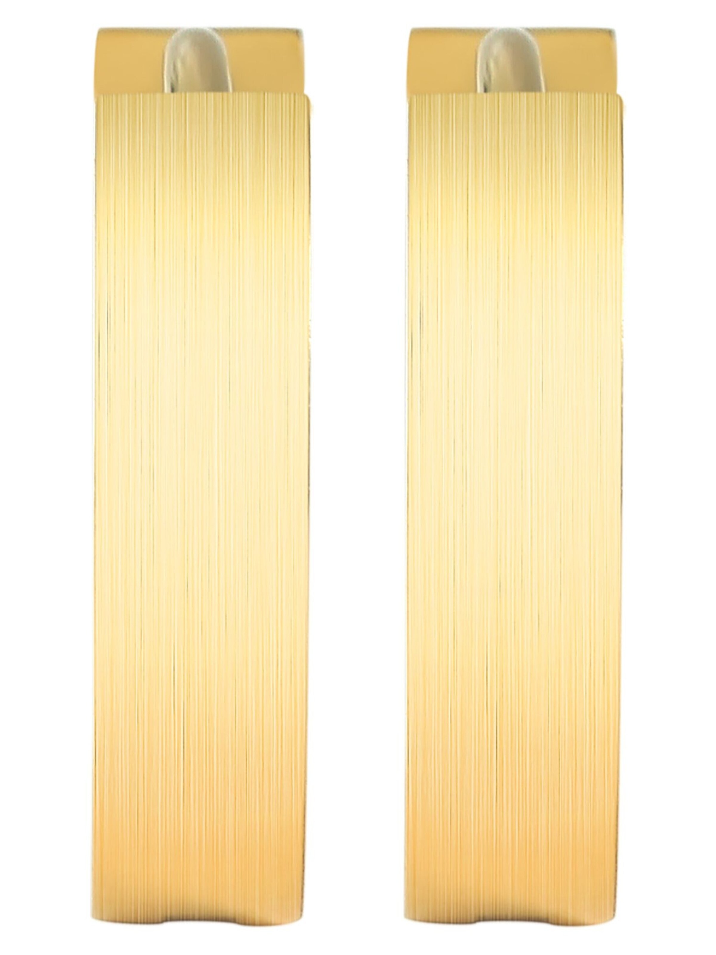 Akzent Earrings 'Inu, hautverträglich' in Gold: front