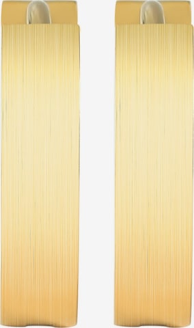 Akzent Earrings 'Inu, hautverträglich' in Gold: front
