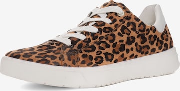 Baskets basses ARA en beige : devant