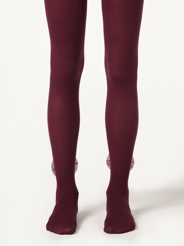 CALZEDONIA Tights in Red: front