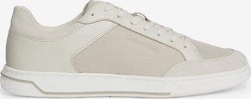 Baskets basses Calvin Klein en beige