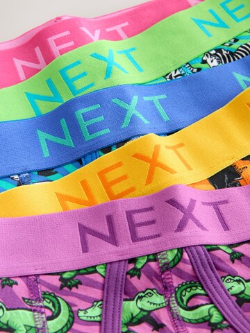 Boxer di Next in colori misti