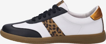 JOSEF SEIBEL Sneaker in Braun: Vorderseite