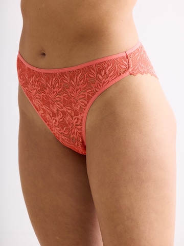 Erlich Textil String 'Dreamy' in Gelb: Vorderseite