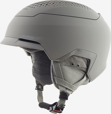 Alpina Helmet in Grey: front