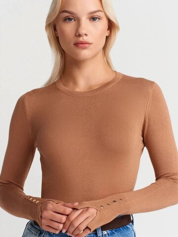 DilvinPulover 'Pullover' - smeđa boja