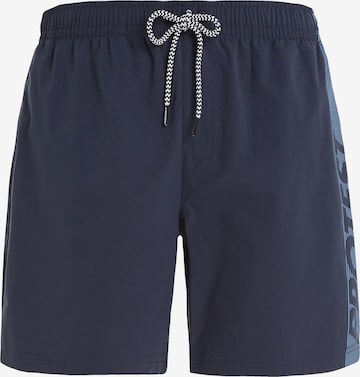 PROTEST Badeshorts 'PRTFAREL' in Blau: Vorderseite