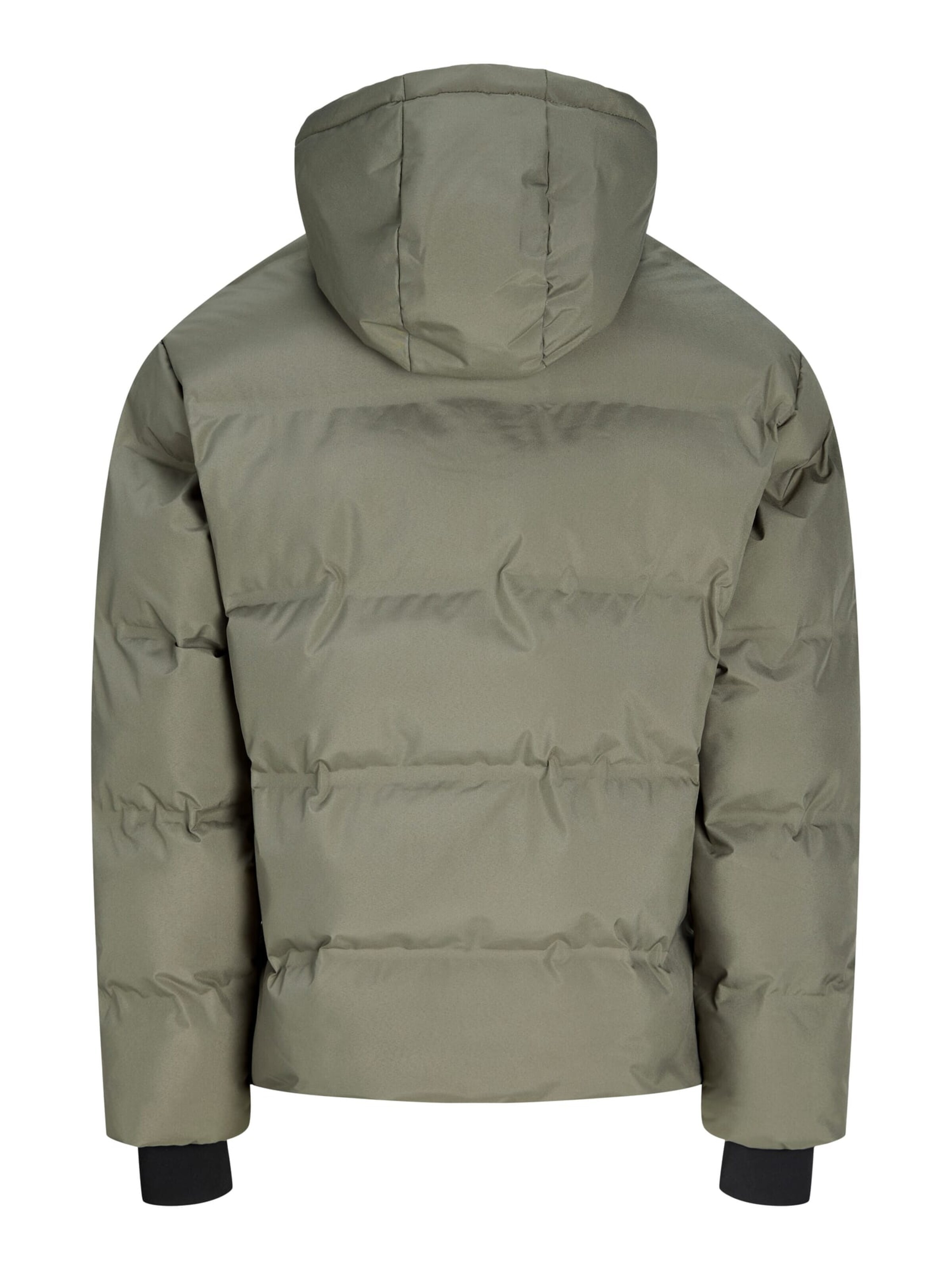 JACK & JONES Winterjas 'trace' in Groen