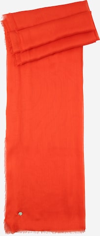 CODELLO Kaulaliina värissä punainen: etupuoli