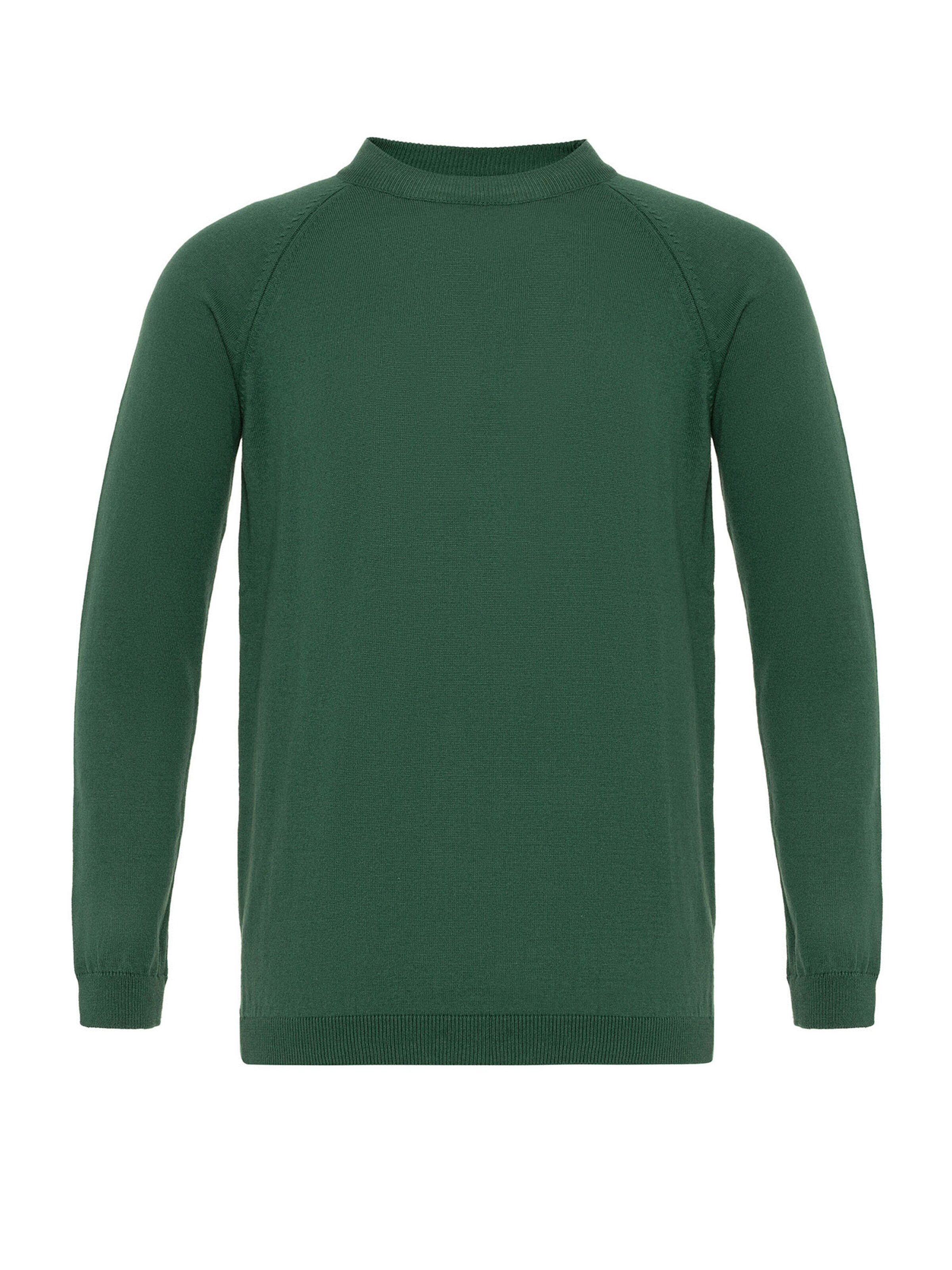 Antioch Pullover in Grün: Vorderseite