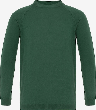 Megztinis iš Antioch, spalva – tamsiai žalia, Prekių apžvalga