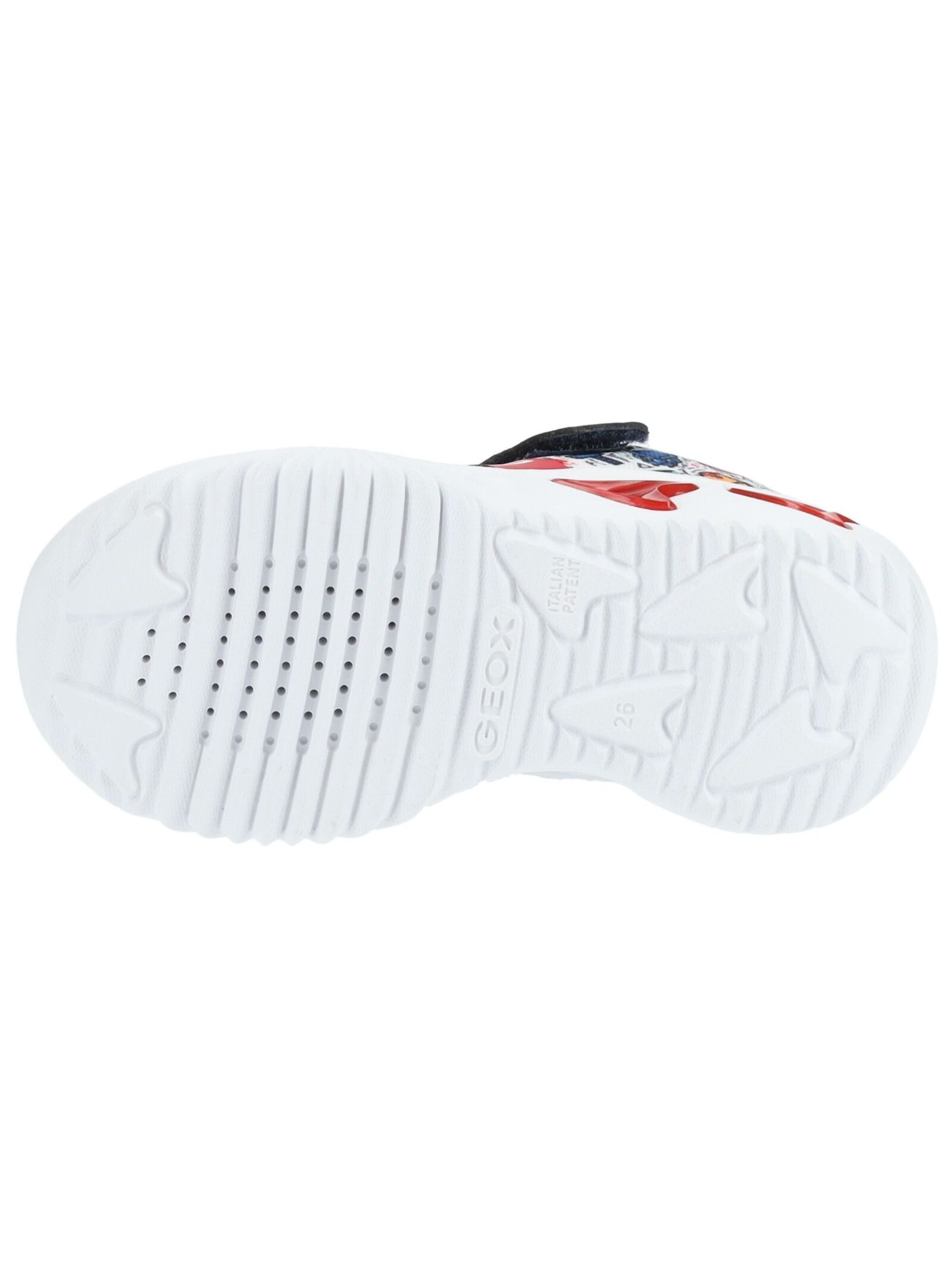 GEOX Sneakers in Blauw