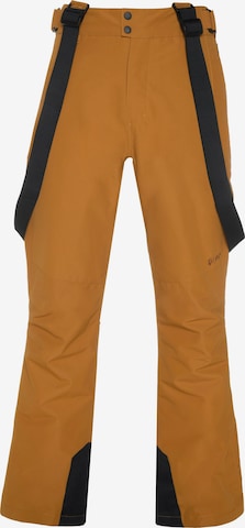 PROTEST Workout Pants 'OWENY' in Brown: front