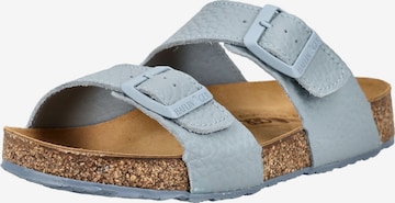 Mule HAFLINGER en bleu : devant