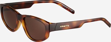 Lunettes de soleil 'DAEMON' ARNETTE en marron : devant