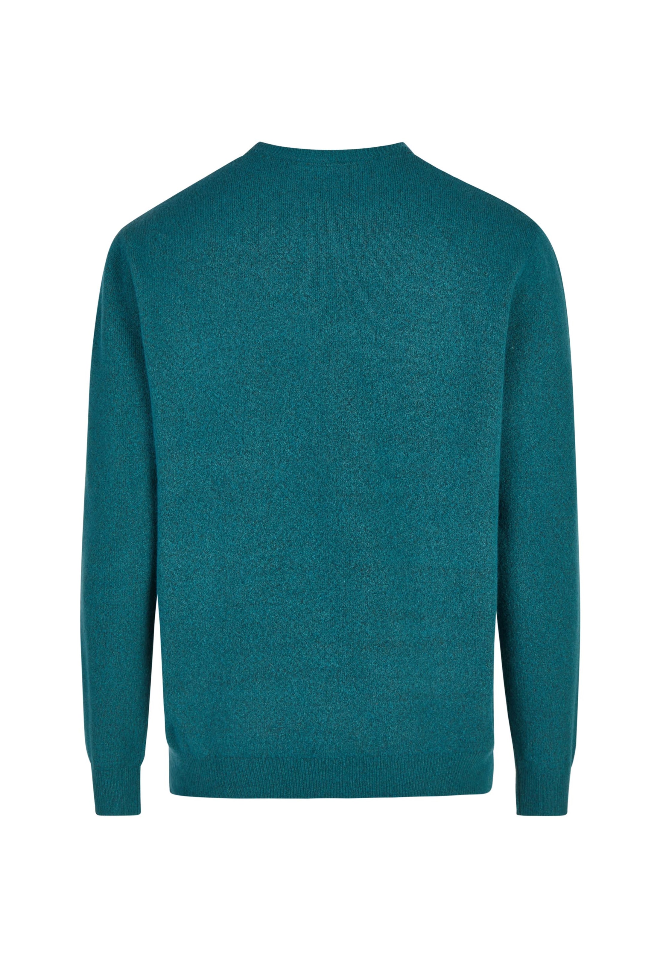 Cleptomanicx Feinstrickpullover in Grün