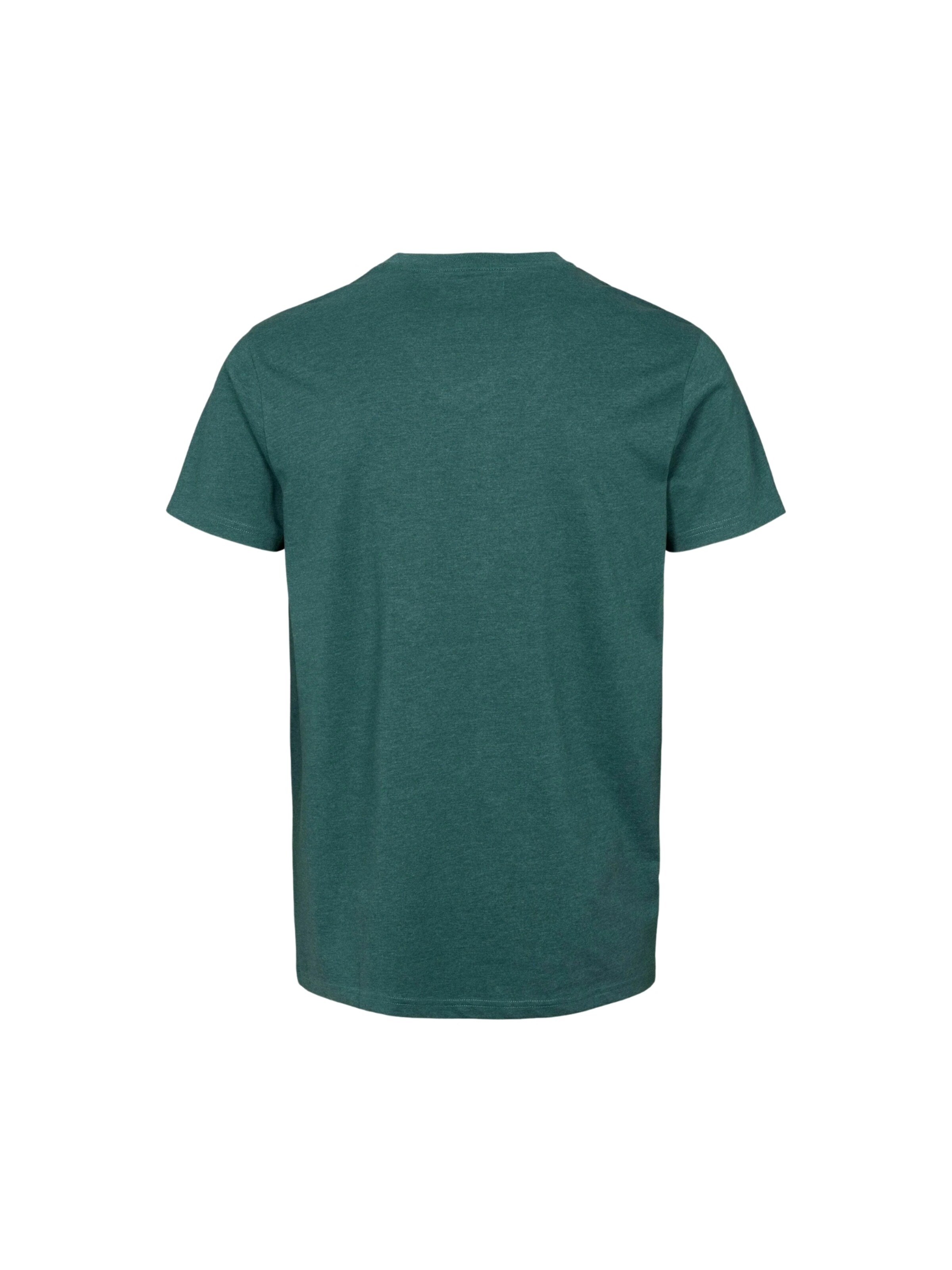 U.S. POLO ASSN. Shirt ' Cem V ' in Groen