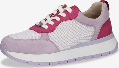 CAPRICE Sneakers laag in de kleur Sering / Fuchsia / Offwhite, Productweergave