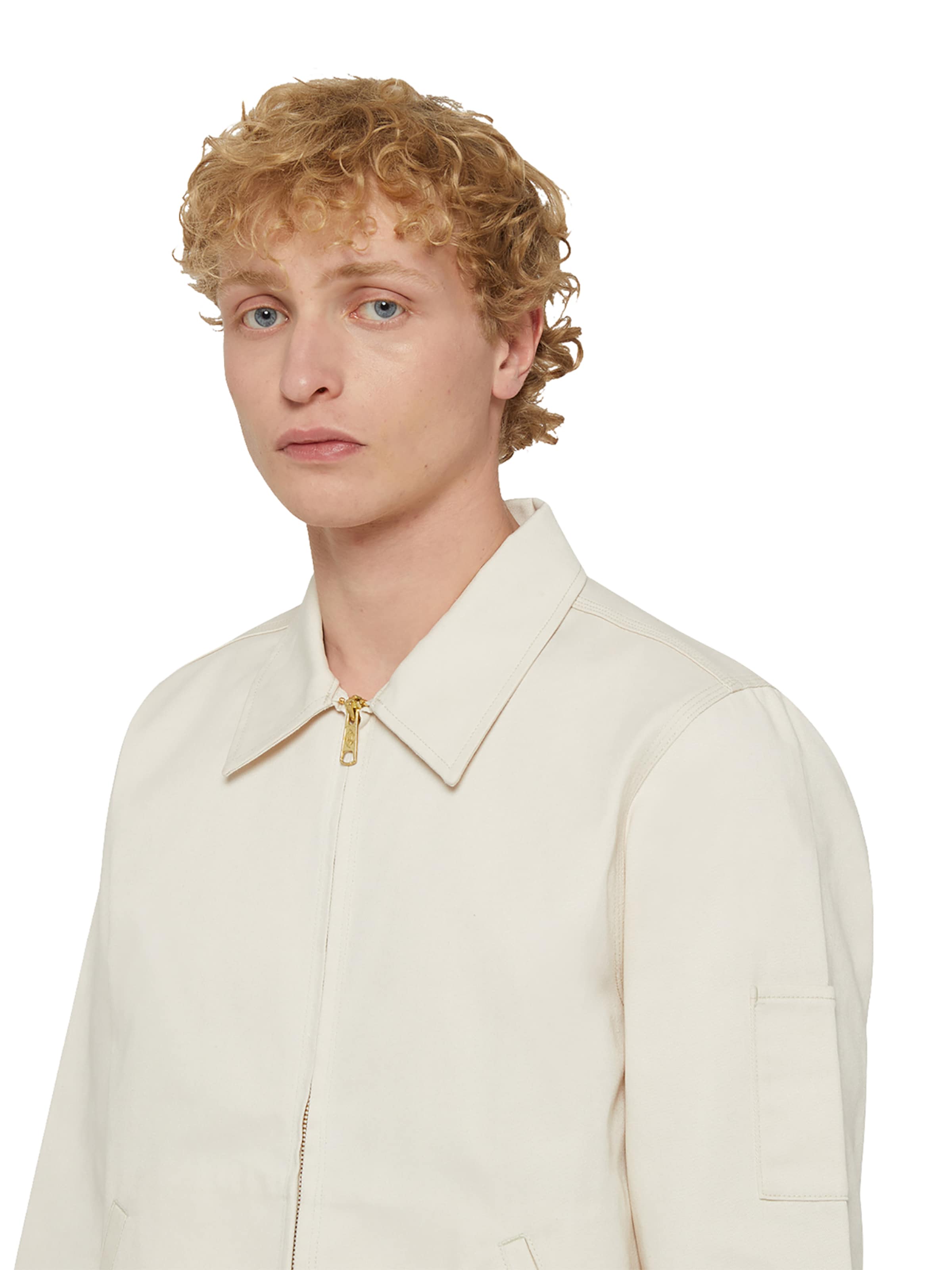 DICKIES Overgangsjakke 'EISENHOWER' i beige