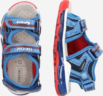 Chaussures ouvertes 'ANDROID ' GEOX en bleu