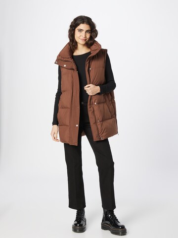 IVY OAK Jacke in Braun