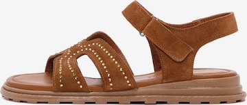 Derimod Sandal in Brown: front