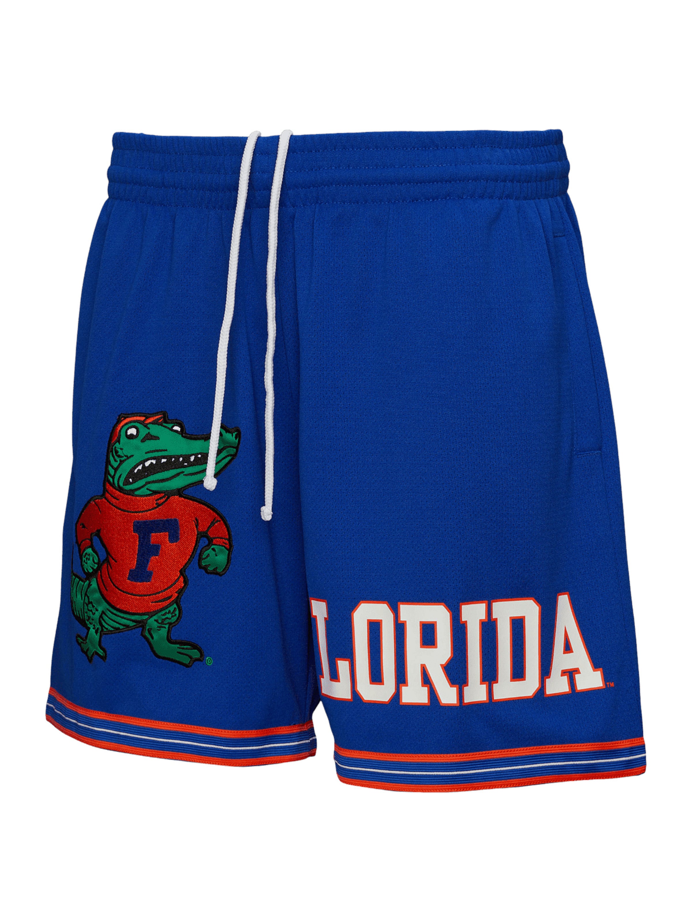 Regular Pantalon de sport Mitchell & Ness en bleu : devant