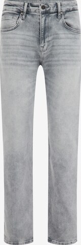 WE Fashion Regular Jeans in Grey: front