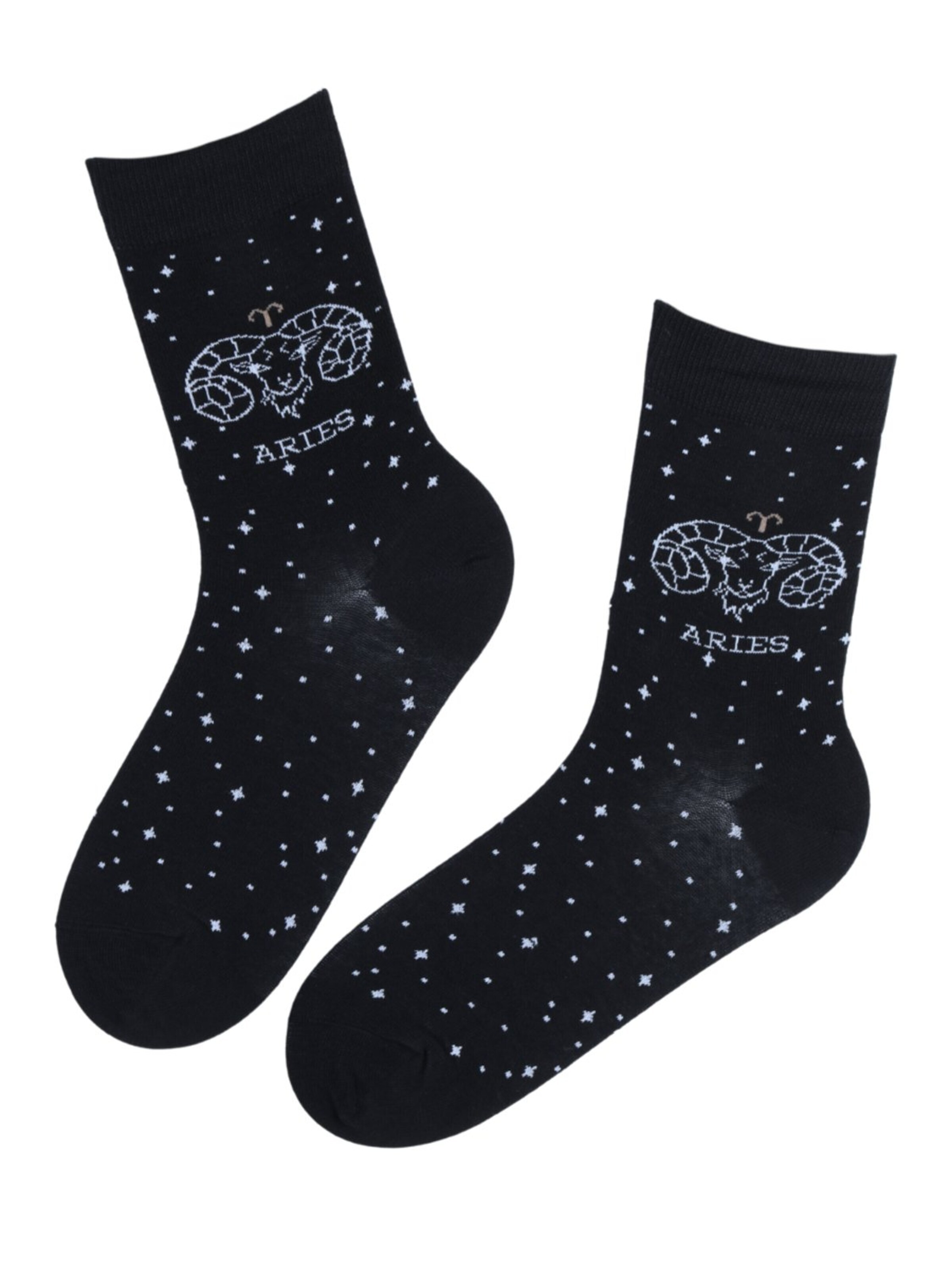Chaussettes 'ARIES' Sokisahtel en noir : devant