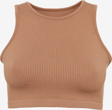 Leif Nelson Top in Brown: front