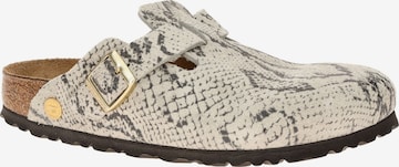 BIRKENSTOCK Dreváky - Sivá: predná strana