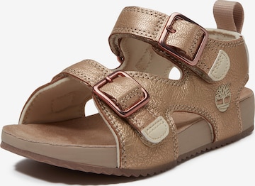 bronzinė TIMBERLAND Sandalai: priekis