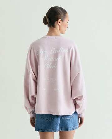 Scalpers Collegepaita ' ' värissä lila