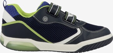 GEOX Sneaker 'Inek' in Blau