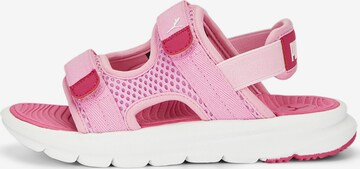 PUMA Beach & Pool Shoes 'Evolve' in Pink: front