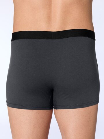 Albero Natur Boxershorts 'Herren Trunkshorts aus Bio-Baumwolle'‌‌ in Grau